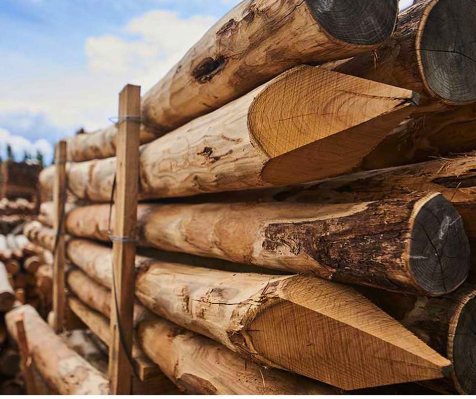 Hegnspæle og stolper