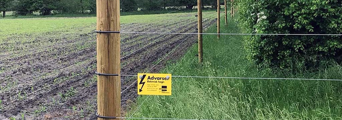 Landbrugshegn