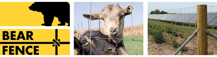 Fårehegn. Beer fence - nethegn til får, geder og mindre dyrehold