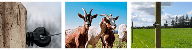 Fårehegn - elhegn til får og geder