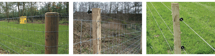 Grisehegn - nethegn, trådhegn og elhegn til indhegning af grise.