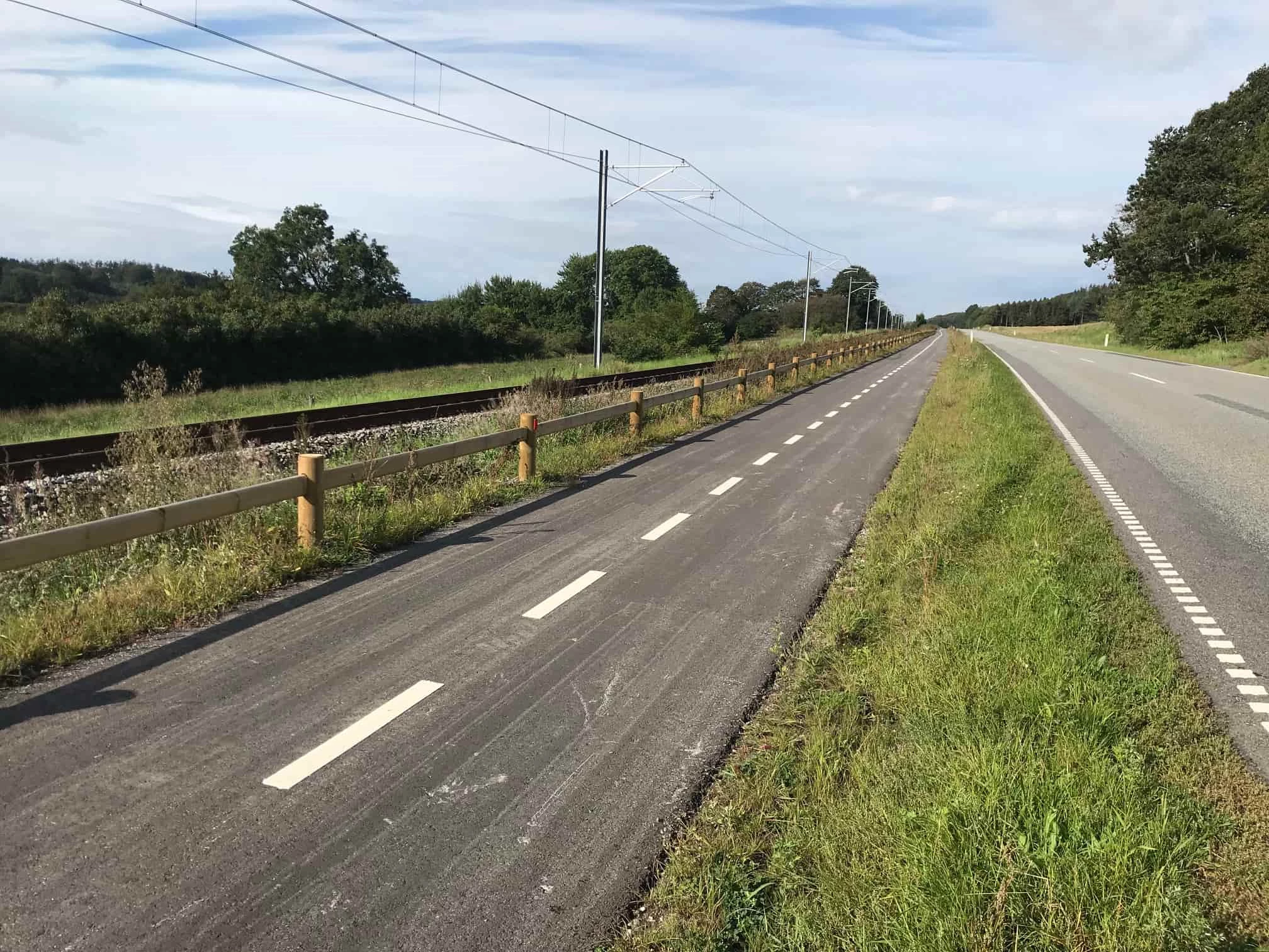 Fodhegn ved cykelsti i stedet som anvendelse til naturlig afgrænsning