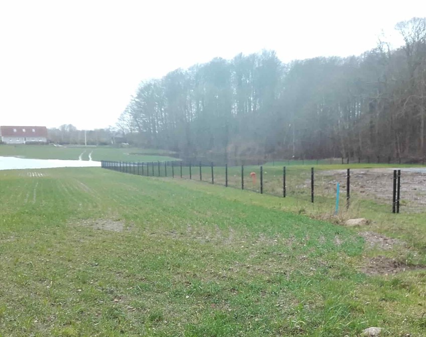 Panelhegn til nybygget hus. Vælg stålhegn af høj kvalitet eller et gitterhegn med matchende låge hos PIT Hegn