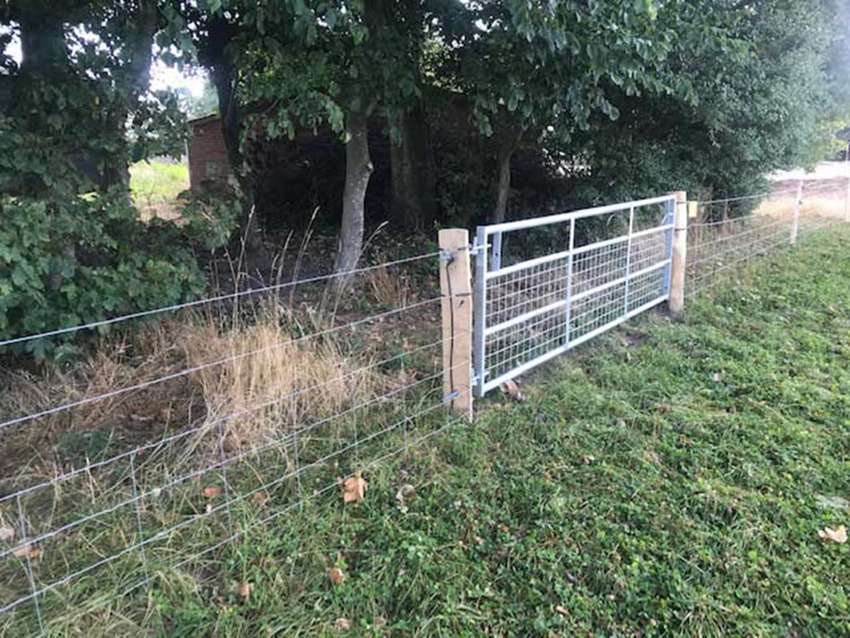 Fårehegn med galvaniseret stållage. Sikkert nethegn og elhegn.