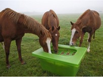 Foderautomatik til heste på mark - grøn plastik. PIT Hegn