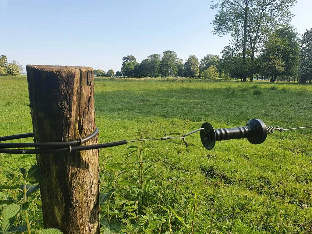 naturpleje få hjælp til Natura 2000 projekter