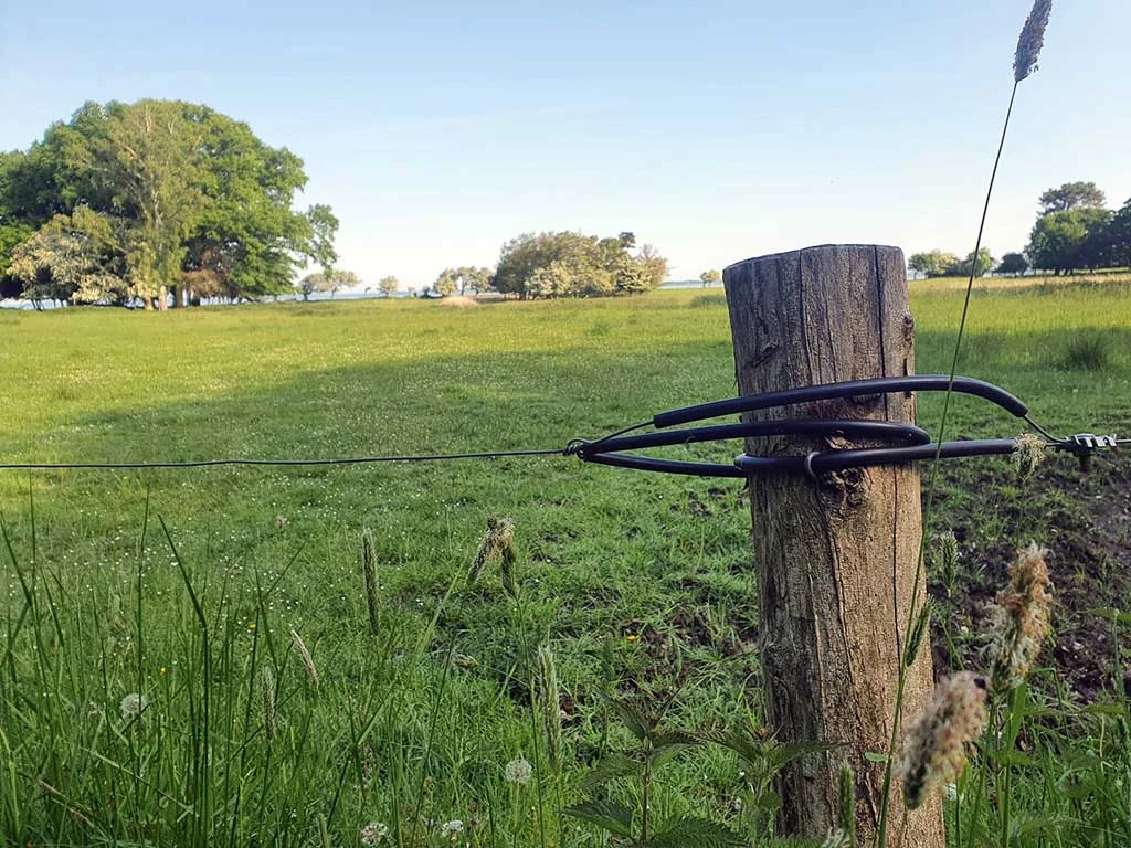 Robiniepæle og stolper. Hele og halve pæle til f.eks. vildthegn