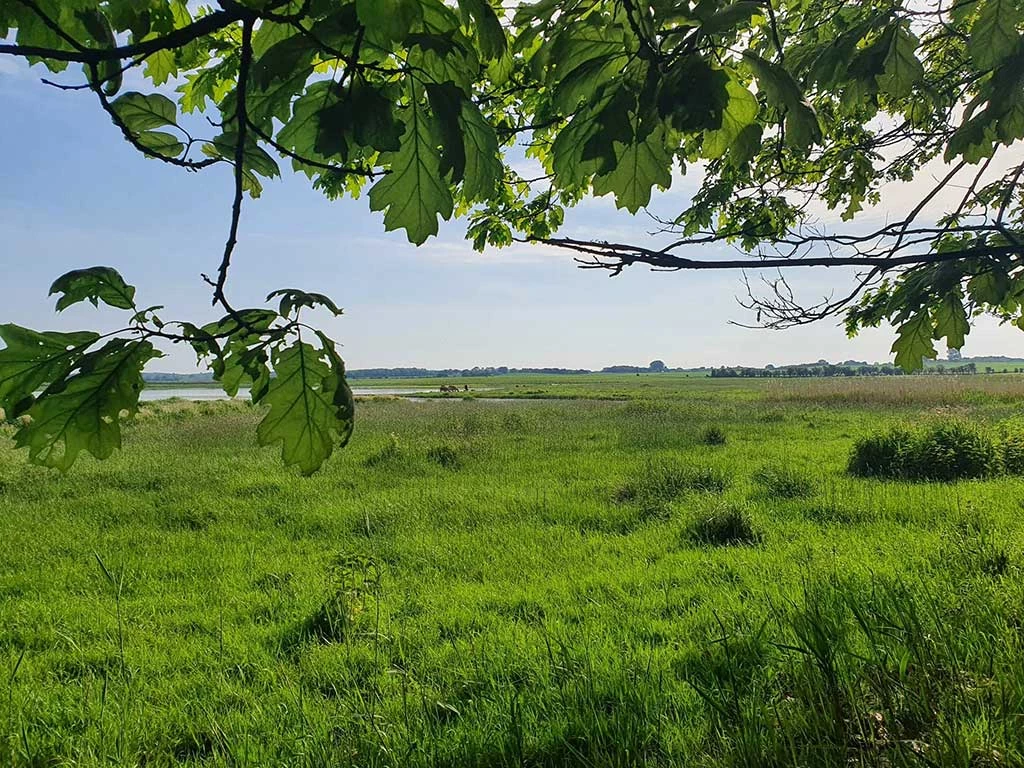 naturpleje hegn og låger til grønne arealer natura 2000 projekter