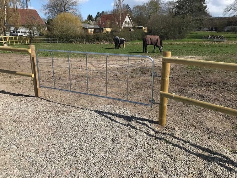 Hestehegn alt i ridebanehegn og hegn til