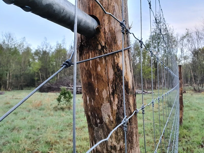 Hegnsstolper til vildthegn til gode priser. Super kvalitet og mange udgaver