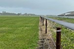 Elhegn---hestehegn-med-2-tråde-på-solide-hegnspæle.jpg