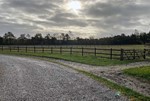 Hestehegn-og-ridebanehegn.-Wrangler-træhegn-med-tilhørende-låge.jpg