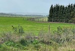 Hestehegn---trådhegn-med-2-tråde-på-stærke-hegnspæle.jpg