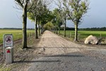 Trådhegn---hestehegn-med-høj-sikkerhed.-PIT-HEGN.jpg