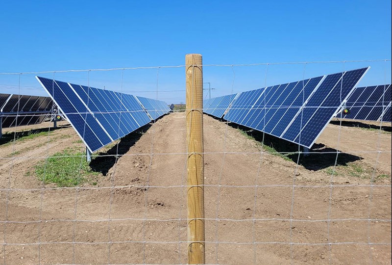 Solidt dyrehegn til beskyttelse af solcellepark