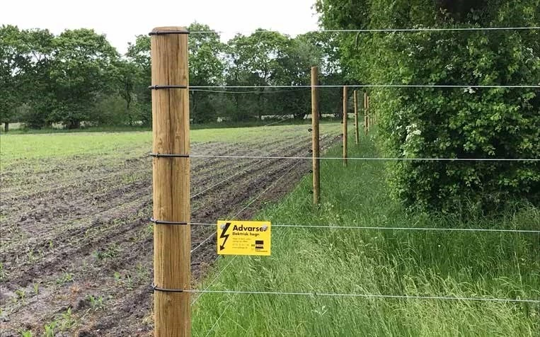 Vildthegn - kronvildthegn med 5 tårde