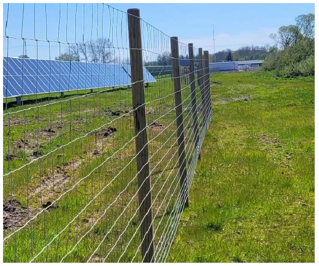 Skovhegn - tilbud på kvalitets nethegn