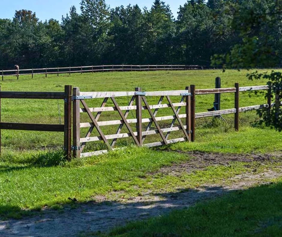 Hestehegn og ridebanehegn med flotte og praktiske låger f.eks. trælåge