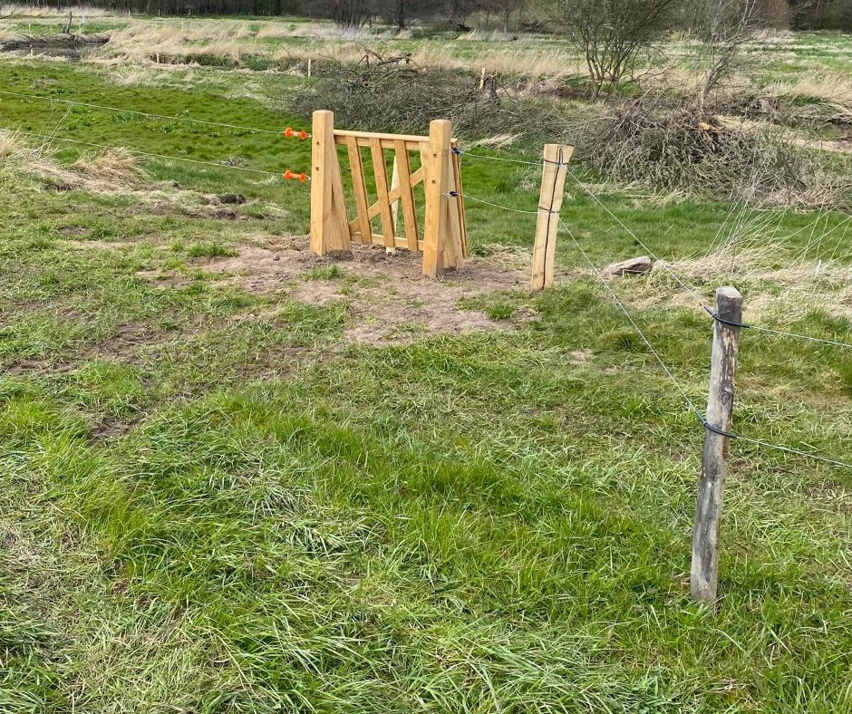 Kvæghegn med klaplåge. Elhegn med trælåge er et billigt hegn