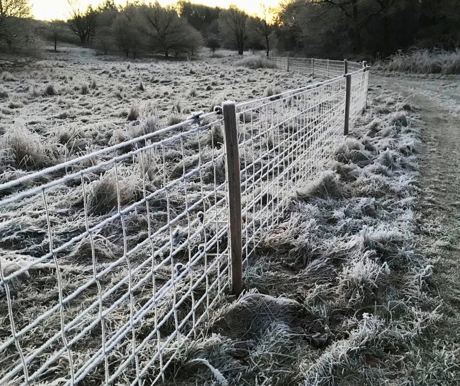 Fårehegn - sikkert hegn til får og geder med nethegn og elhegn
