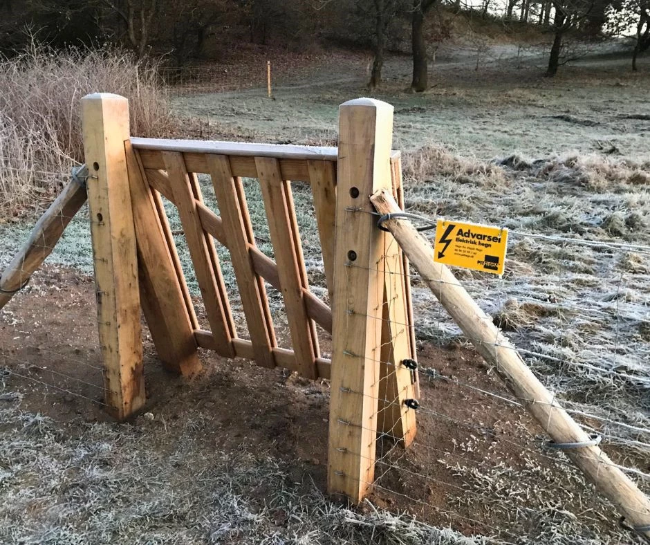 Naturlig trælåge til fårehegn - klaplåge