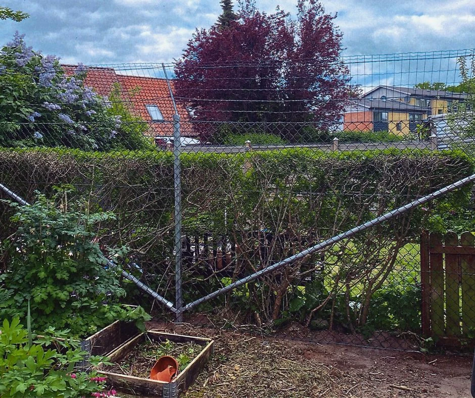 Kattehegn - effektivt hegn med flethegn og knæk på toppen