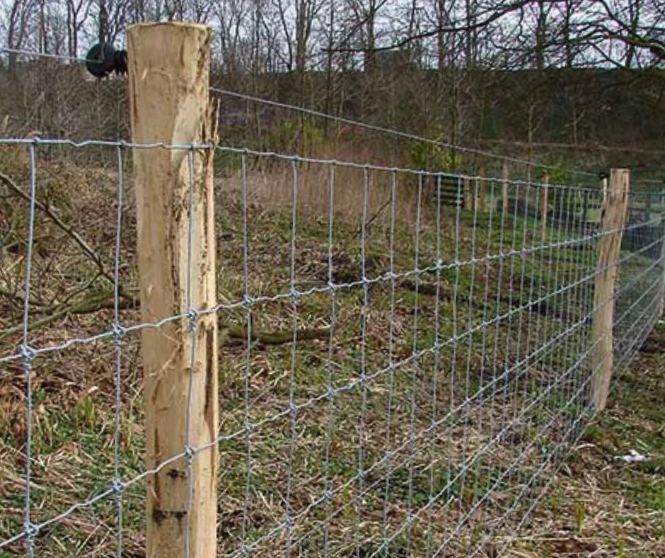 Hegnspæle og stolper til hegn - robiniepæle