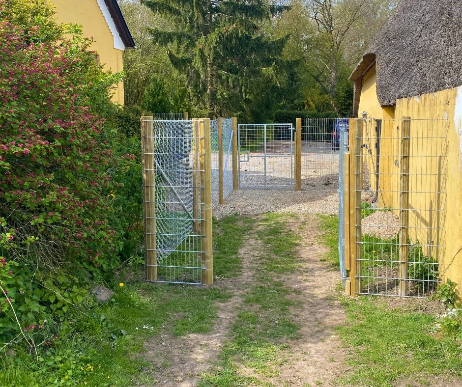 Hundegård - trådhegn på kraftige stolper. Sikker hundegård