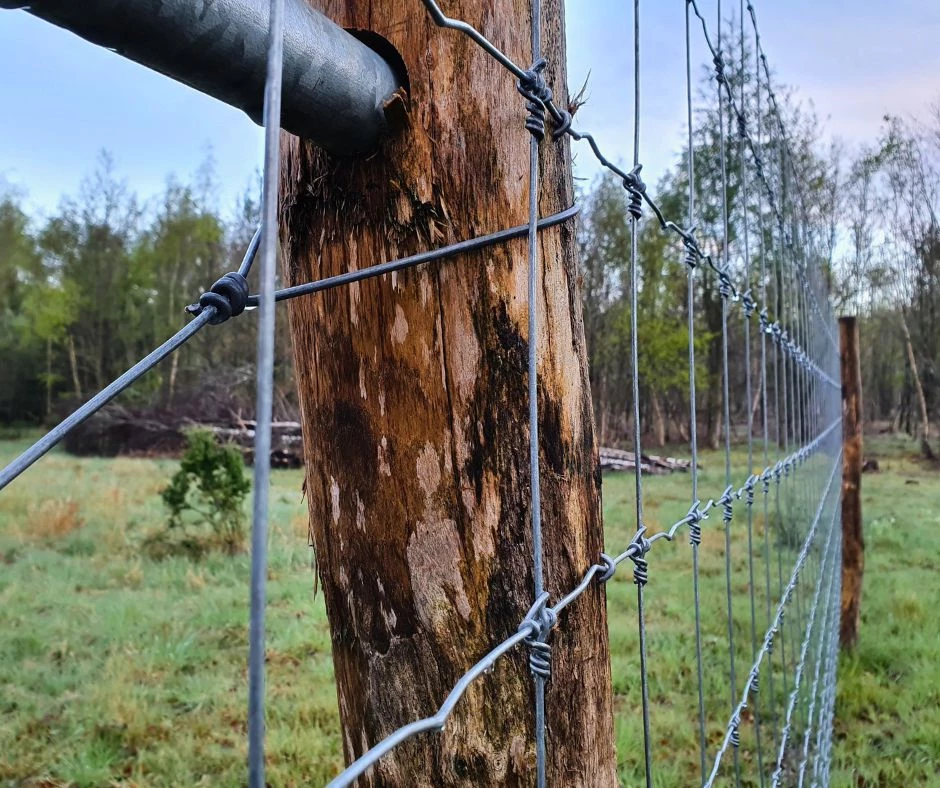 Vildthegn - nethegn opsat på robiniepæle og stolper