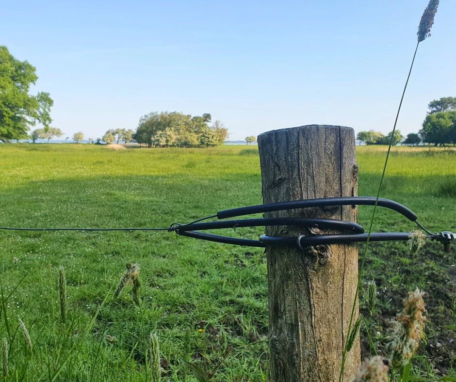 Natura 2000 - trådhegn, nethegn og elhegn på robiniepæle. Hegn til grønne arealer