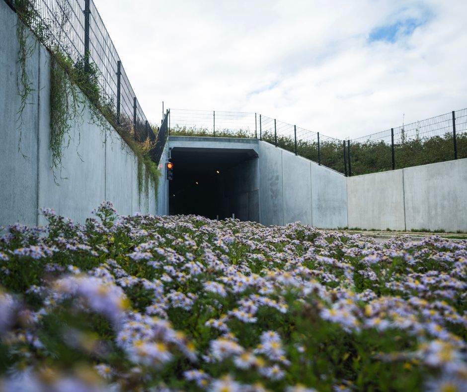 Specialtilpasset panelhegn ved tunnel
