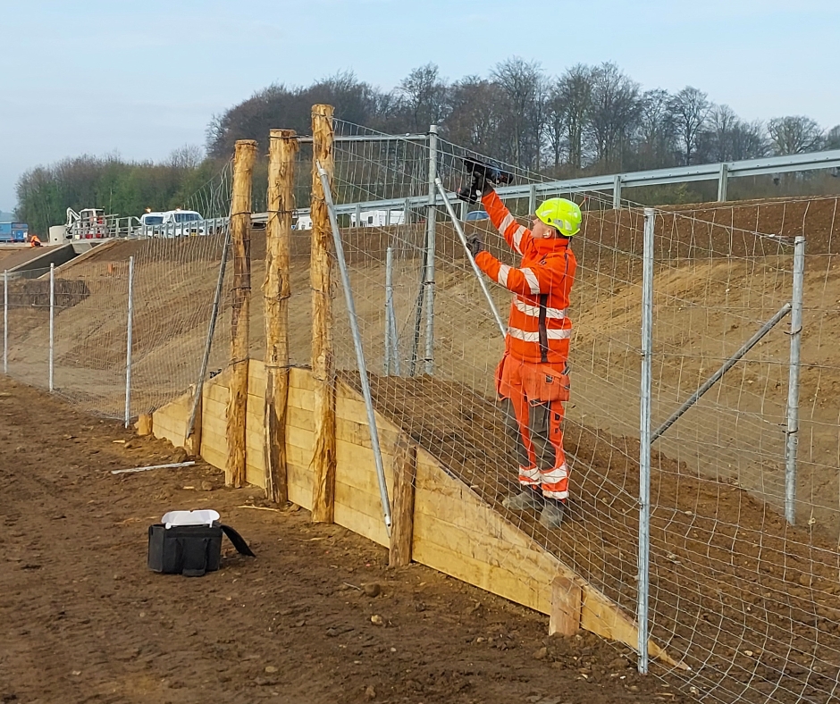 Vildthegn med vildtspring langs E45