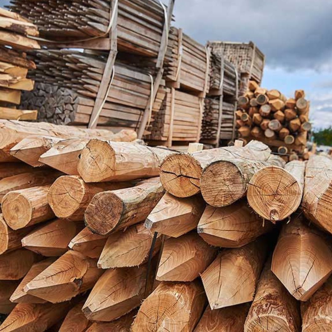 Robiniepæle til hegn