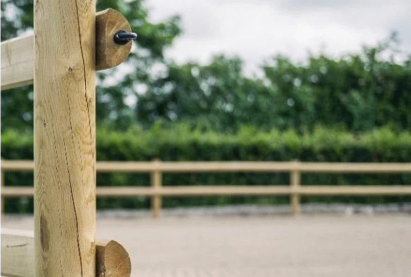 20 X 60 Colorado ridebane