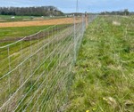 Skovhegn til grønne arealer. PIT Hegn.jpg