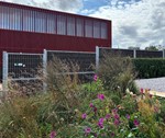 Støjhegn - støjabsorberende hegn til skole.jpg