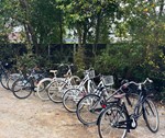 Støjhegn - støjskærm til cykelparkering øger sikkerheden.jpg