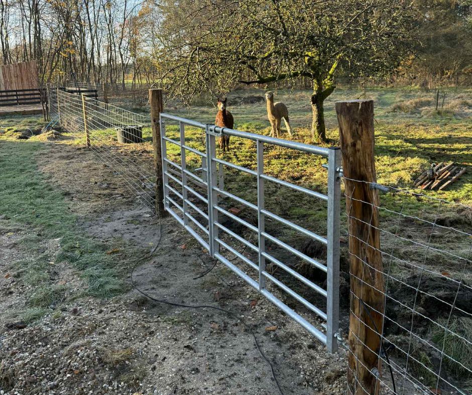 Hegn til Liv Martine og familien