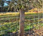 Hegn til Liv Martine - Kraftigt nethegn på stærke robiniepæle.jpg