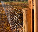 Robiniepæle, nethegn og elhegn - hegn til Liv Martine. PIT HEGN.jpg