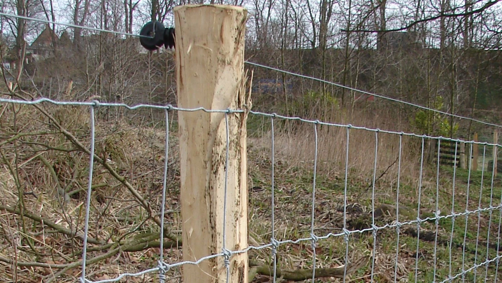 Ulvesikring - kraftigt nethegn til får, geder og mindre dyrehold