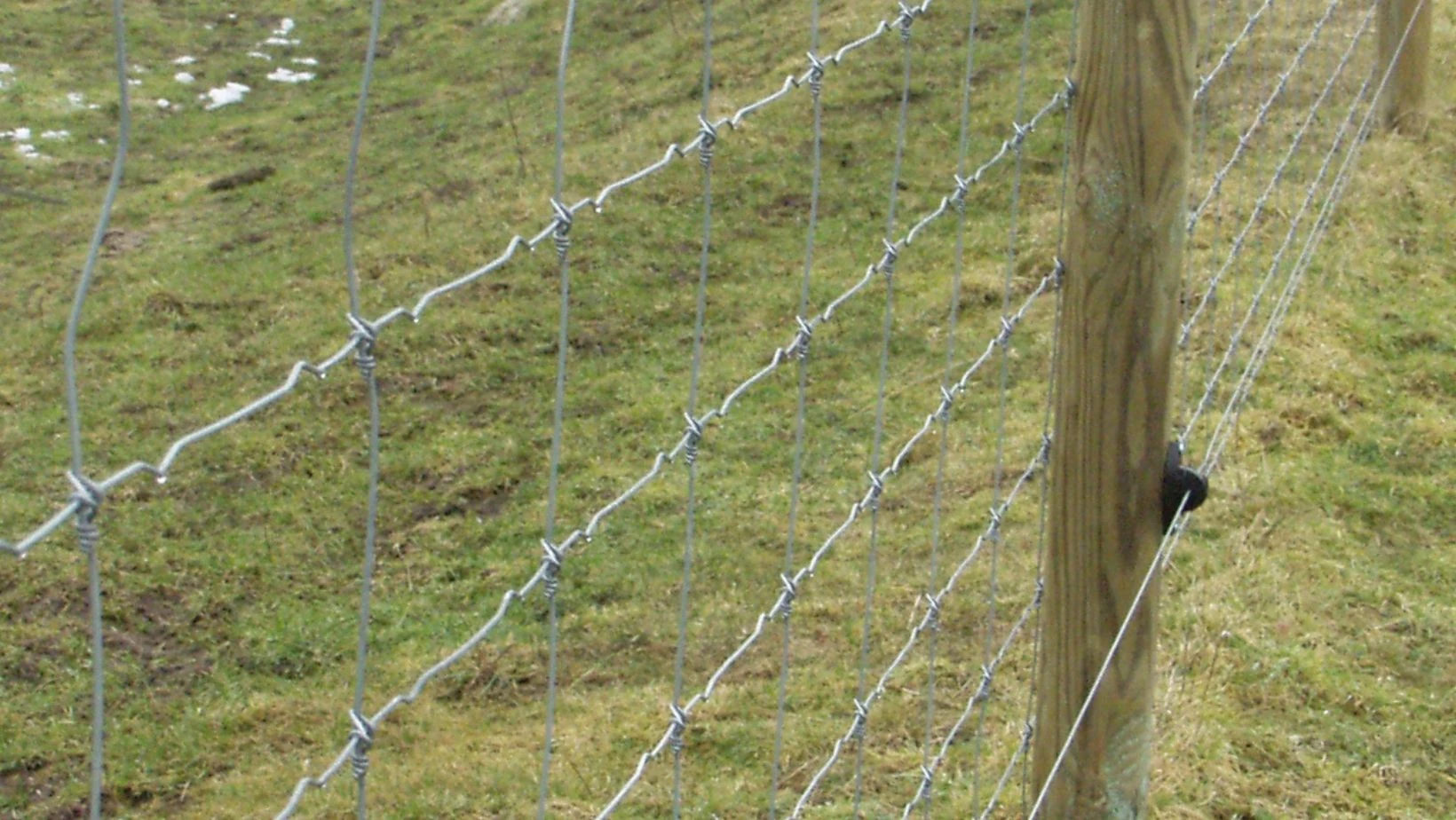 Kvalitets hegn - ulvesikring handler både om nethegn, elhegn, vildthegn, dyrehegn og ikke mindst hvilke pæle du vælger til dit hegn.