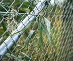 Fletvæv - stærkt hegn fra PIT HEGN.jpg