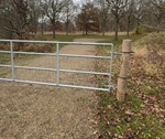 Nyt hegn til græsningsareal i H.C. Andersen Skoven, Odense (17).jpg