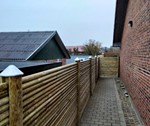 Raftehegn - effektiv afskærmning til haven.jpg